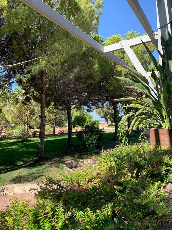 Красивый курорт, но отель средненький