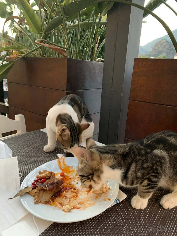 Красивый курорт, но отель средненький