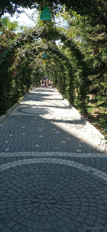 фото Dream Family Club