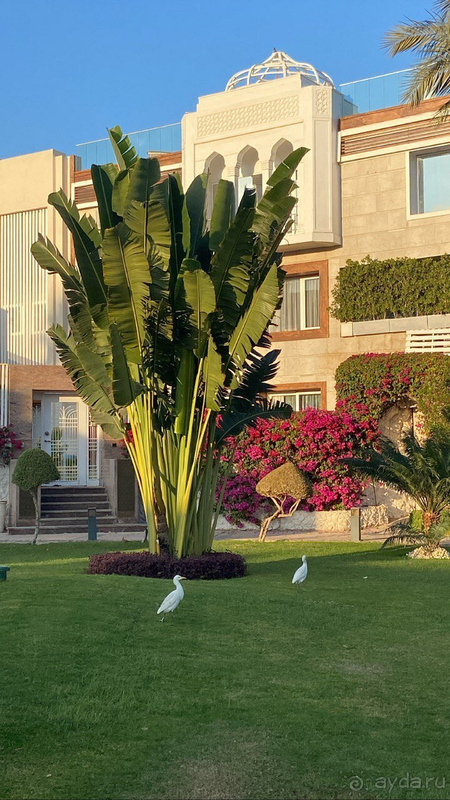 Отель 5 звёзд, всем рекомендую. 