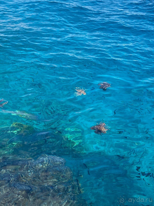 Отель 5 звёзд, всем рекомендую. 