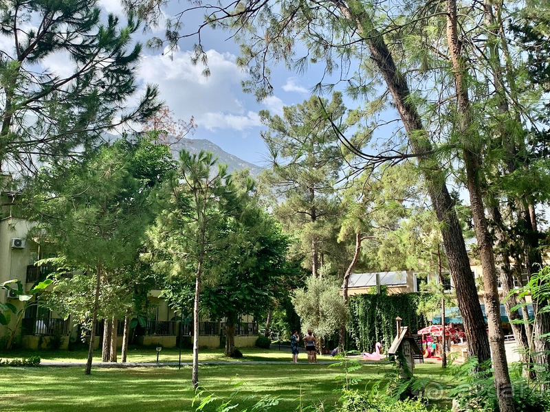 Amara club marine nature не пятерка, но реально симпатичный и тихий!