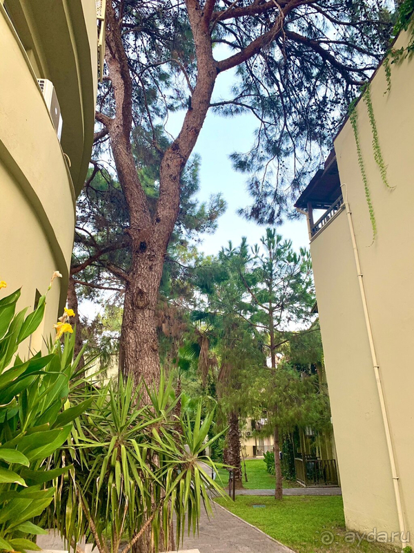 Amara club marine nature не пятерка, но реально симпатичный и тихий!