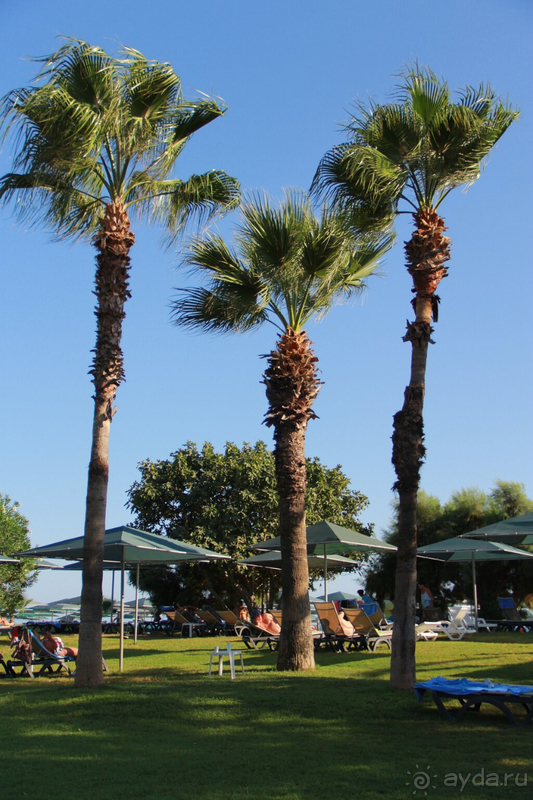 Лето осенью