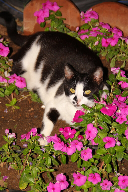 Лето осенью