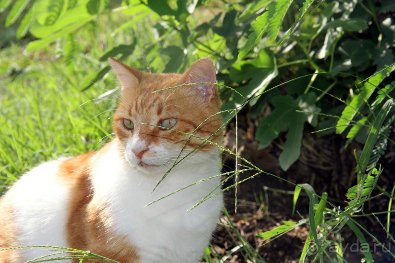 Лето осенью