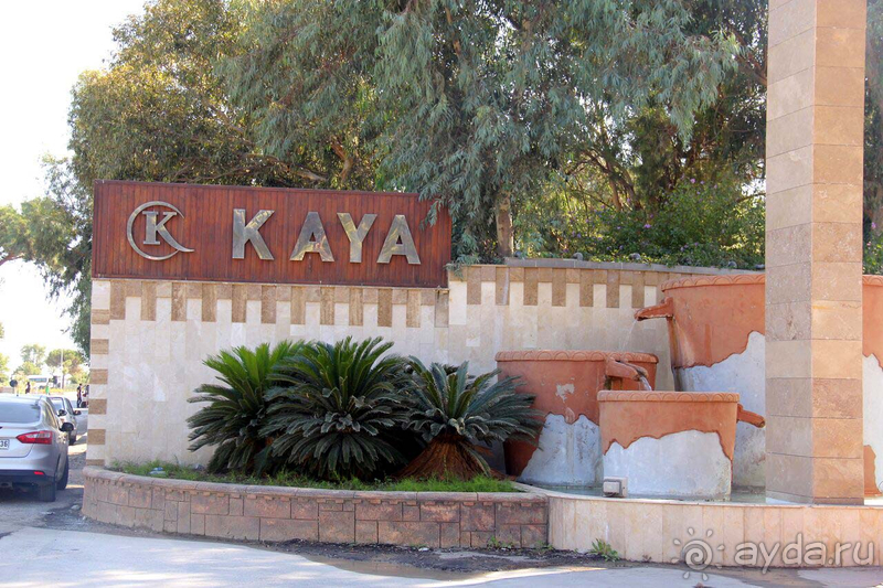 Лето осенью