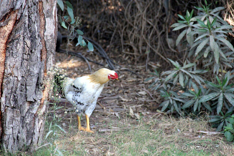 Лето осенью