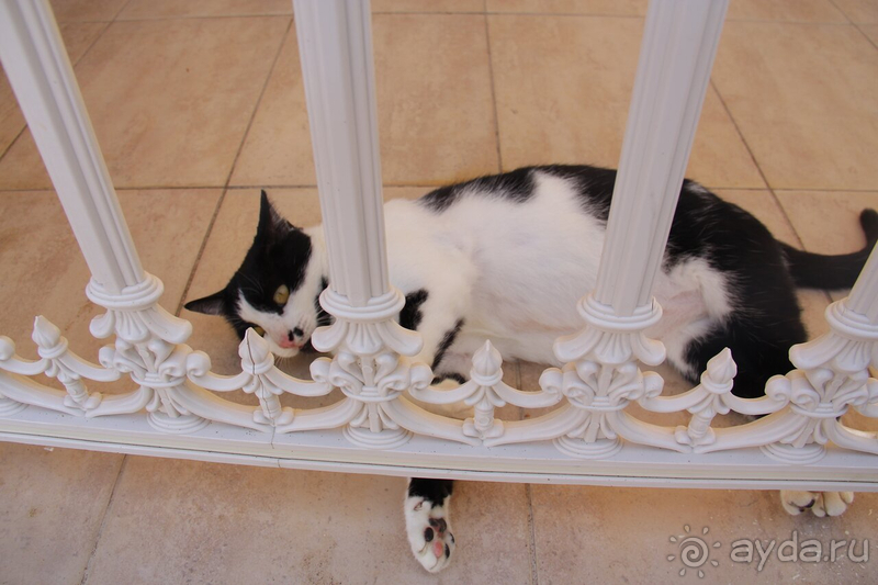 Лето осенью