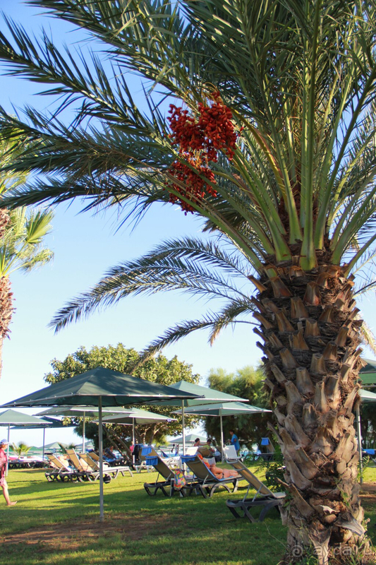 Лето осенью