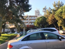 Никогда не говори никогда