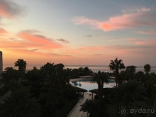 Никогда не говори никогда