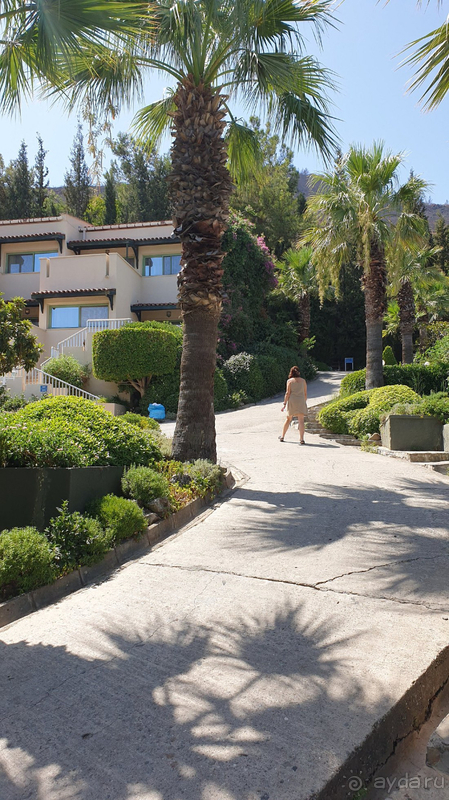 Отличный отель, располагающий к отдыху. 