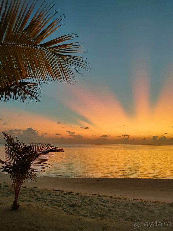 Как всегда остались очень довольны!