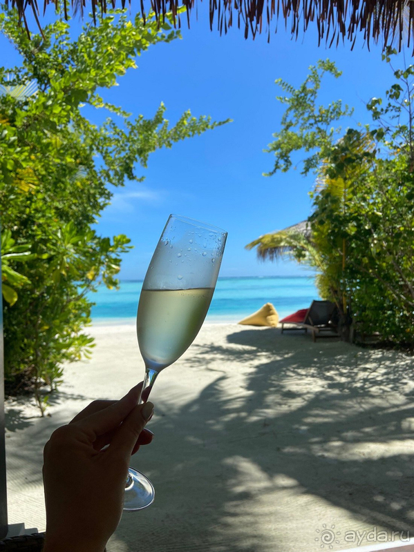 Как всегда остались очень довольны!