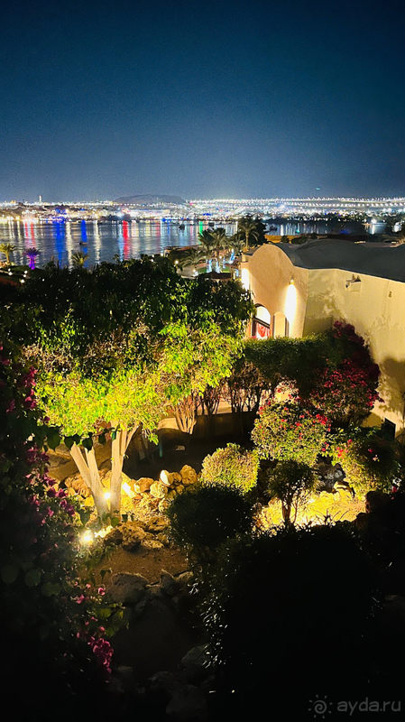 Отдых в декабре в Египте