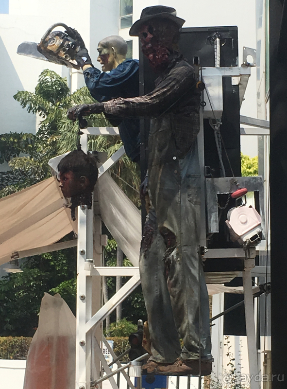 Холостяцкий приют