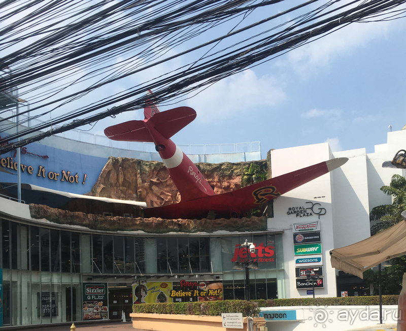 Холостяцкий приют