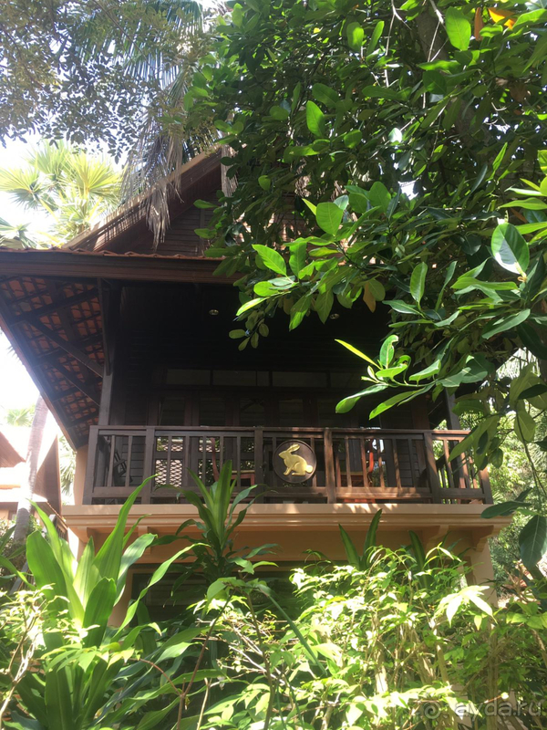 Подальше от городской суеты, поближе к природе