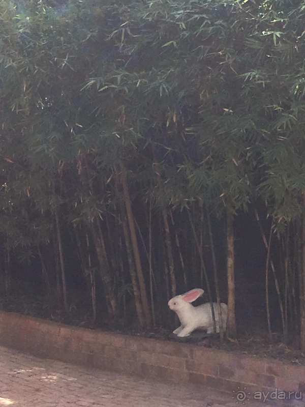 Подальше от городской суеты, поближе к природе Подальше от городской суеты, поближе к природе