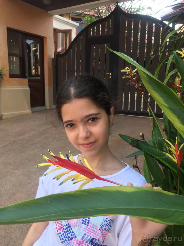 Немного уставший отель. Специализация – руссо туристо.