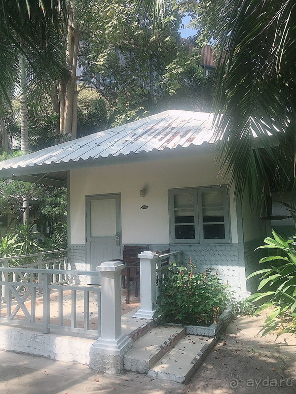 От каменных джунглей отдыхаем в тропических джунглях. 