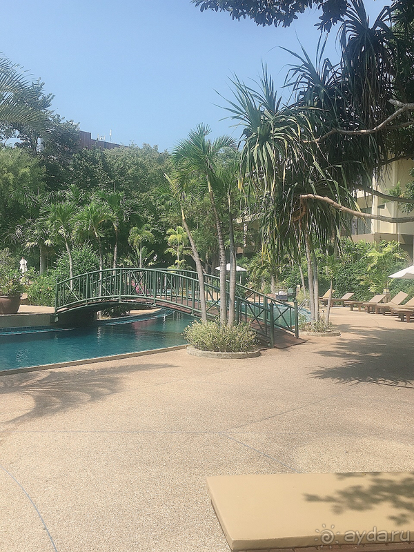 От каменных джунглей отдыхаем в тропических джунглях. 