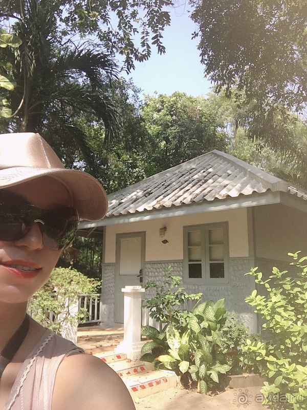 От каменных джунглей отдыхаем в тропических джунглях. 