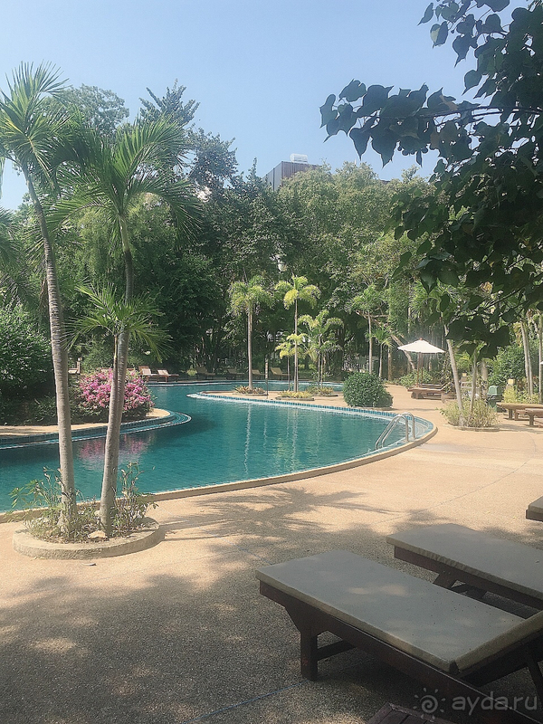 От каменных джунглей отдыхаем в тропических джунглях. 