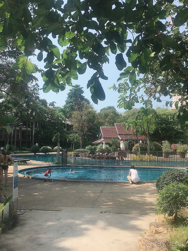 От каменных джунглей отдыхаем в тропических джунглях. 