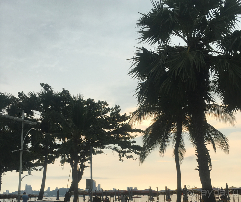 фото Crown Pattaya Beach Hotel