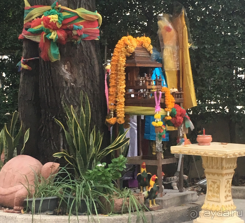 К вам я точно вернусь, похитители сердец Паттайя, Таиланд и Дискавери Отель!