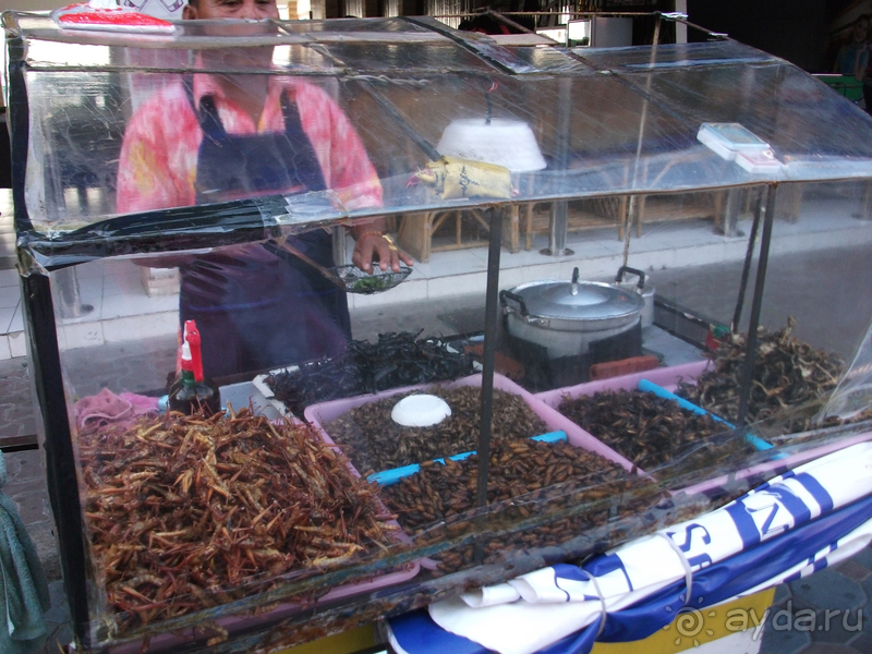 Паттайя не отпускает никого без впечатлений!