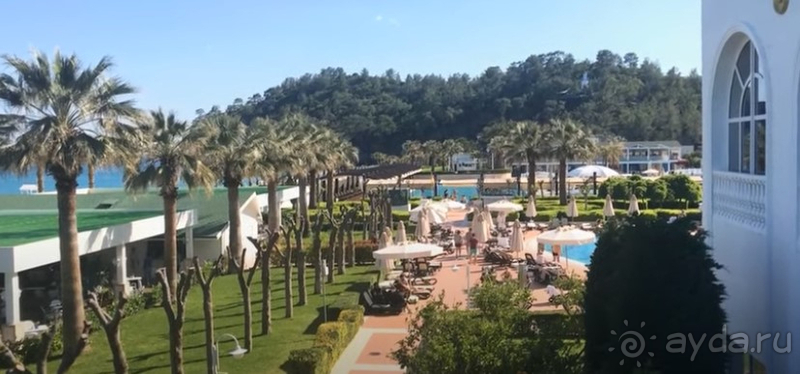 Сладкая жизнь!