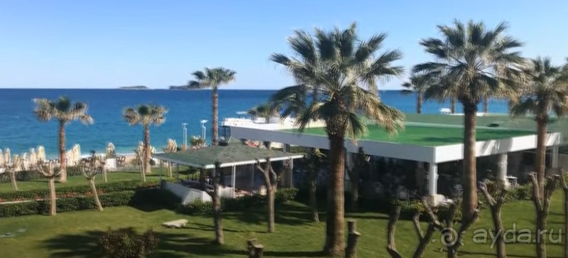 Сладкая жизнь!