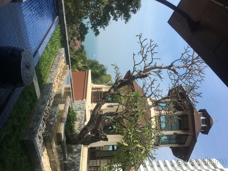 Отдых марки люкс.