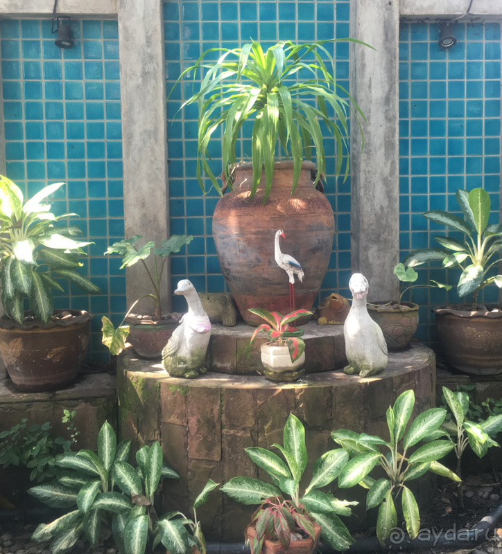 В страну улыбок только с улыбкой!