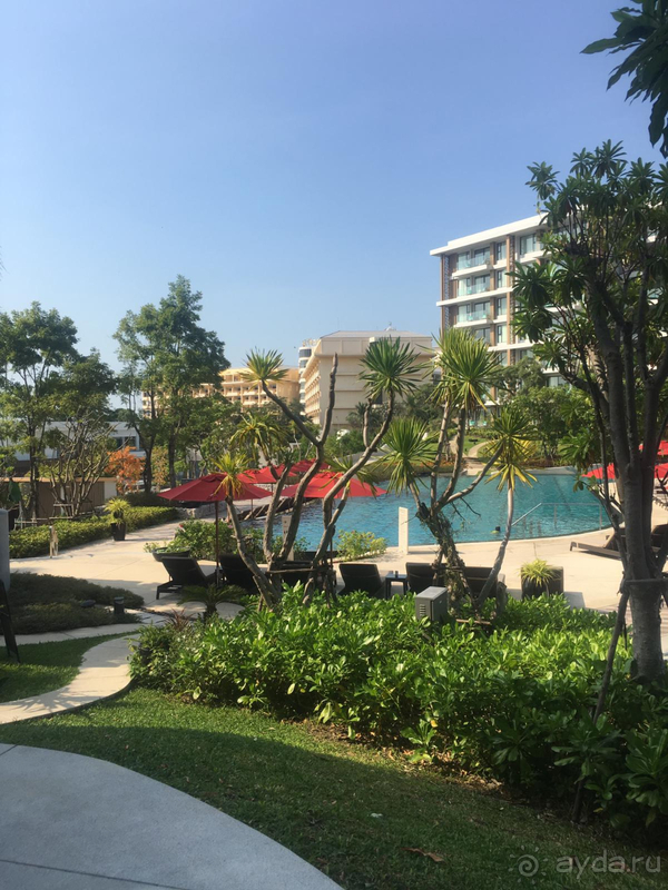 В этот отель всегда только с удовольствием!