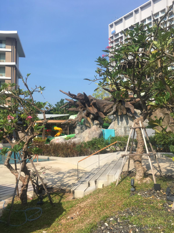 В этот отель всегда только с удовольствием!