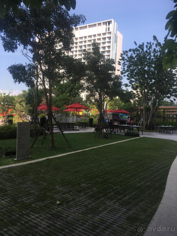 В этот отель всегда только с удовольствием!