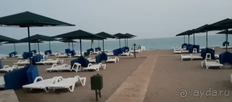 Наработаться всегда успеем. А отдыхать нужно основательно!