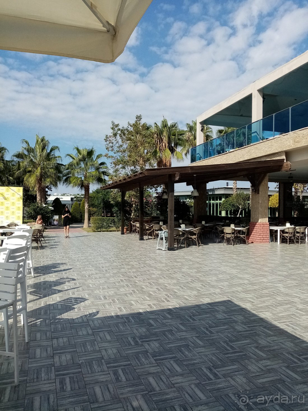 Вернулись бы мы сюда ? Нет не думаю