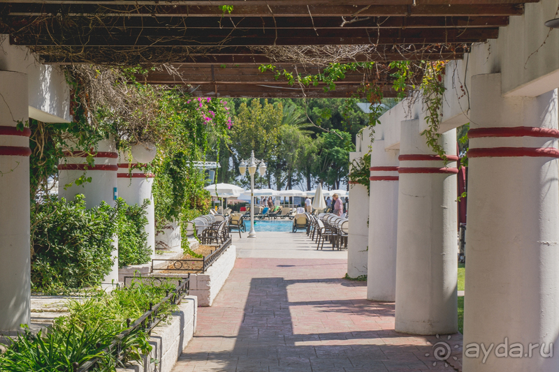 Приятный первый опыт