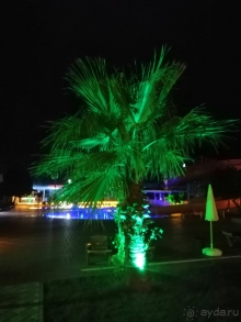 Magic Sun 4* Бельдиби, Турция