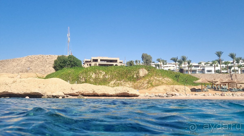 Отель в Шарме цена-качество