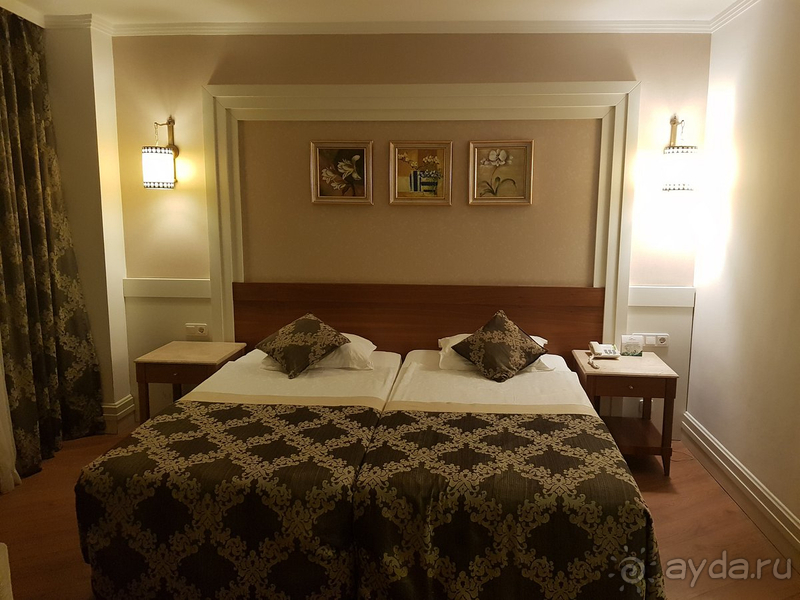 фото Alba Queen Hotel
