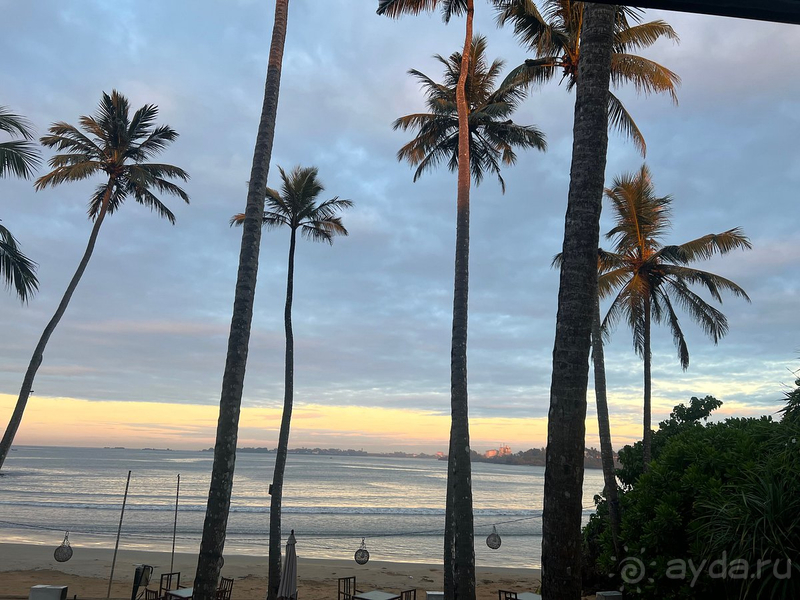  Отель CocoBay Unawatuna полностью оправдал наши ожидания