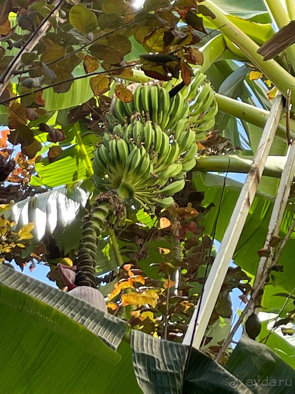 С удовольствием вернёмся снова С удовольствием вернёмся снова