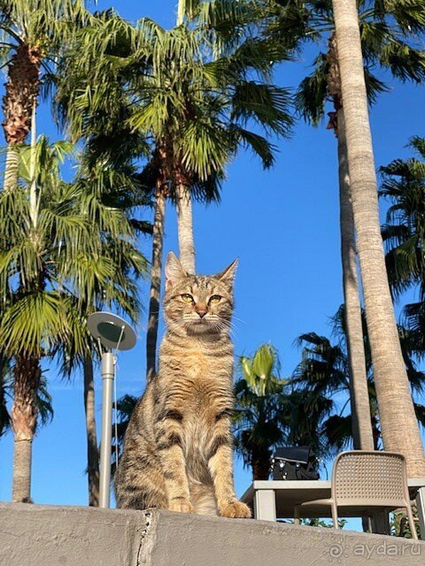 С удовольствием буду рекомендовать и приезжать к вам снова!
