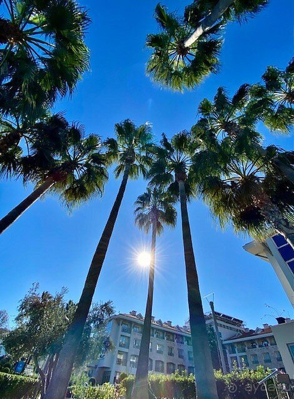 С удовольствием буду рекомендовать и приезжать к вам снова!